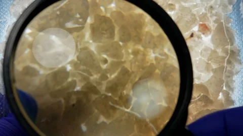 Crystal meth is strong form of amphetamine. Comes as powder crystals or tab.. Stock Footage 341143215