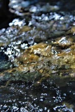 Crystal Mountain Stream Close Up Stock Photos
