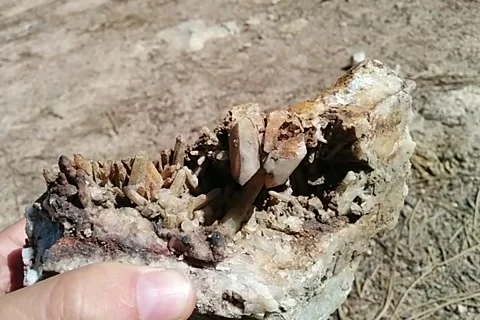 Crystal nodule opened Stock Footage 168911181