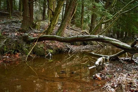 Crystal Pool Stock Photos