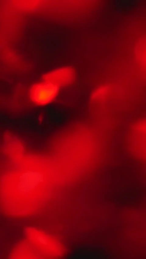 Crystal prism refracting red light in vivid colors Stock Footage 280179564