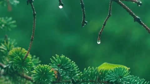 Crystal raindrops falling-rain clip Stock Footage 233783978