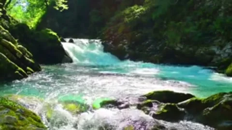 Crystal River Cascade with Forest Sunlight. Stock Footage 306652843
