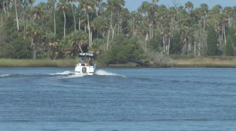 Crystal River Clip 4 Stock Footage 517301