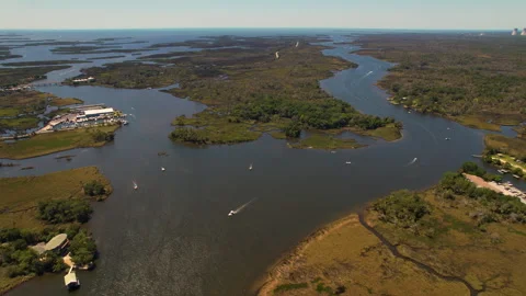 Crystal River Marshlands Stock-Footage 284140900