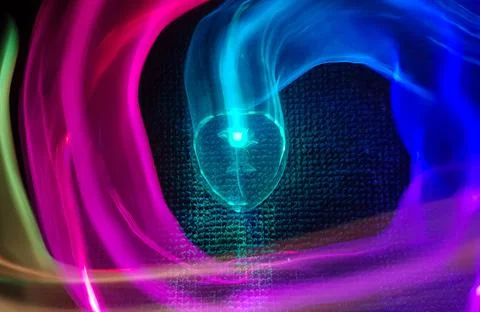 The crystal rose Foto stock