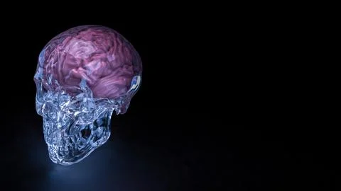 The Crystal Skull and Brain for sci or medical concept 3d Rendering. Stock Illustration