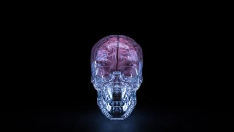 The Crystal Skull and Brain for sci or medical concept 3d Rendering. Stock Photos