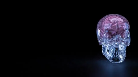 The Crystal Skull and Brain for sci or medical concept 3d Rendering. Stock Photos