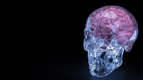 The Crystal Skull and Brain for sci or medical concept 3d Rendering. Stock Photos