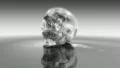 Crystal Skull HD Footage