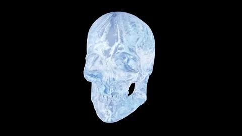 Crystal Skull Rotating Stock Footage 248736136
