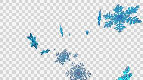 Crystal of snow Stock Footage 165039702