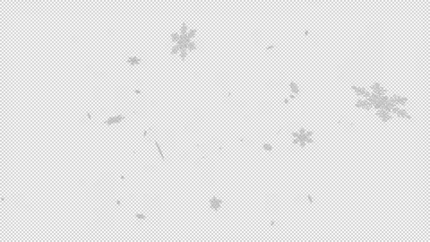 Crystal of snow Stock Footage 165443267