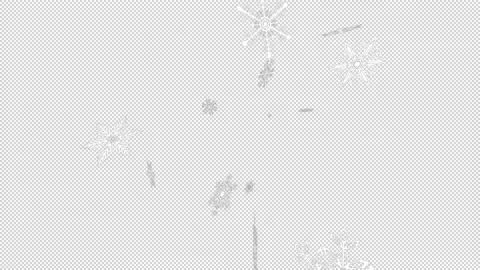 Crystal of snow Stock Footage 165453102