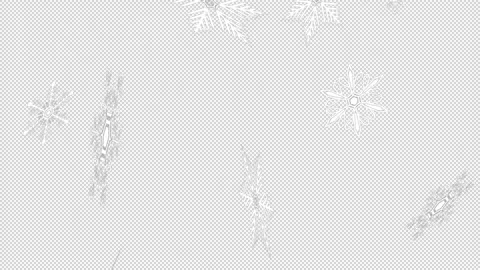 Crystal of snow Stock Footage 165487086