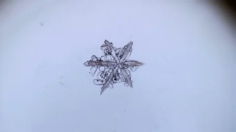 Crystal snow melts quickly Stock Footage 72785645