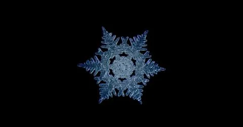 Crystal snowflake 库存插图