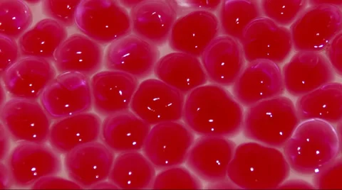 Crystal soil balls growing Stock Footage 36677954