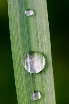 Crystal spheres Stock Photos
