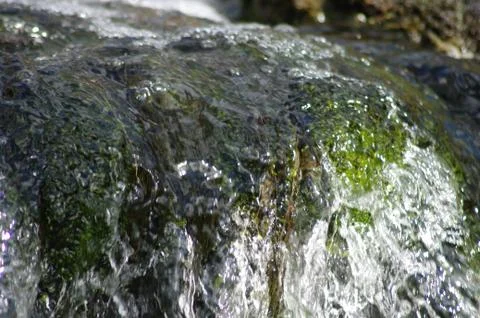 Crystal splashes of water Stock Photos