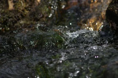 Crystal splashes of water Stock Photos