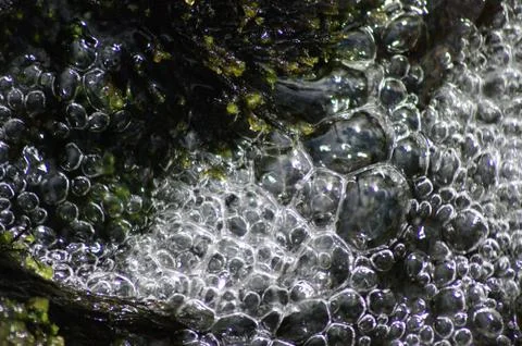 Crystal splashes of water Stock Photos