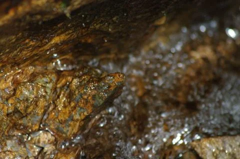 Crystal splashes of water Stock Photos