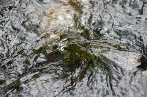 Crystal splashes of water Stock Photos