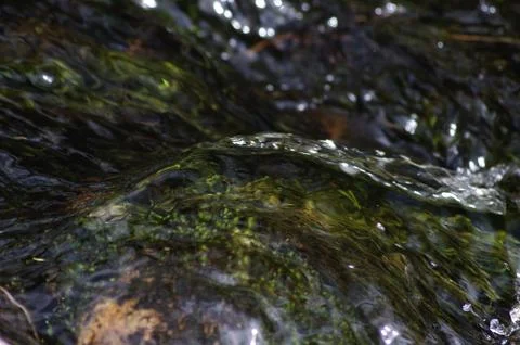 Crystal splashes of water Stock Photos
