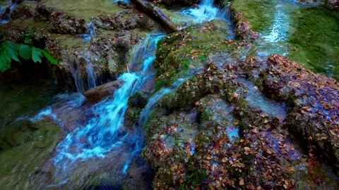 Crystal Stream Flowing Over Mossy Rocks with Autumn Leaves Stock Footage 316311028