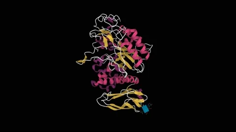 Crystal structure of human pancreatic alpha amylase Stock Footage 173839531