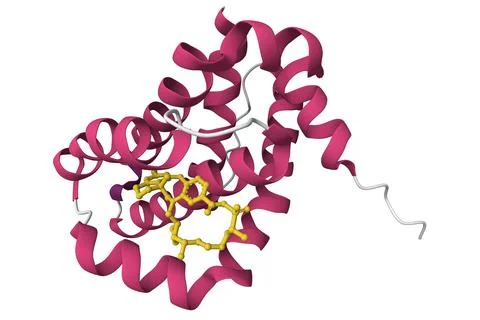 Crystal structure of Mcl1 with inhibitor. Stock Illustration