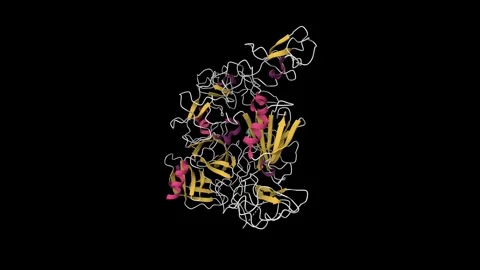 Crystal structure of the native plasminogen Stock Footage 323796321