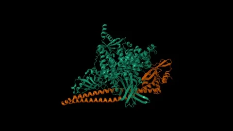 Crystal structure of PI3Kalpha Stock Footage 290014764