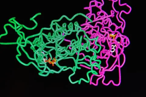 Crystal structure of protein. Stock Illustration