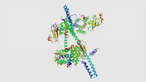 Crystal structure of SARS-CoV super complex of non-structural proteins 스톡 동영상 157064304