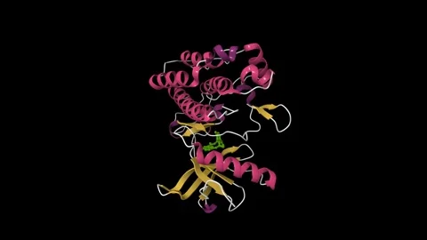 Crystal structure of TrkA kinase with repotrectinib. Stockbeeldmateriaal 337905882