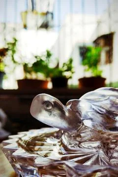 The crystal torture Stock Photos