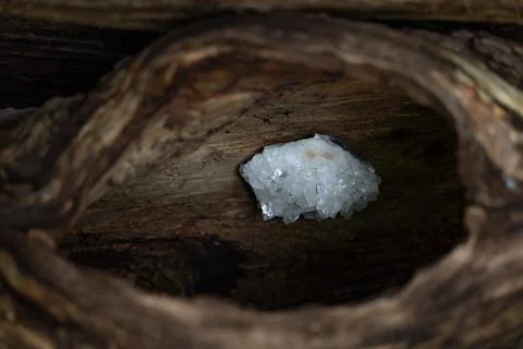 A crystal in a tree trunk 写真素材