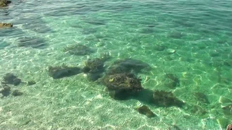 Crystal water Stock Footage 11515176