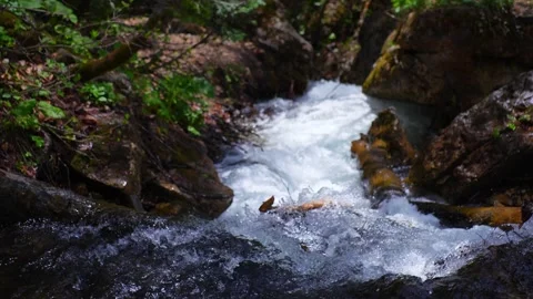 Crystal Water of Mountain River Stream Stock Footage 157437188