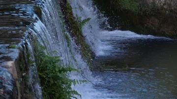 Crystal water waterfall cascade in forest Stock Footage 85769003