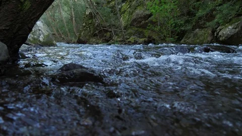 Crystal water waterfall cascade stream in forest 4k Stock Footage 90379837