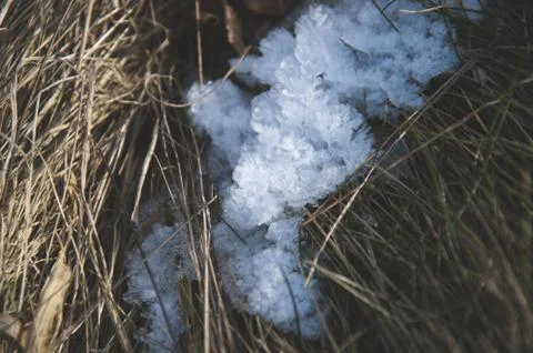 Crystalic structure of ice in the grass Stock Photos