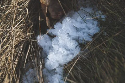 Crystalic structure of ice in the grass Stock Photos