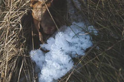 Crystalic structure of ice in the grass Stock Photos