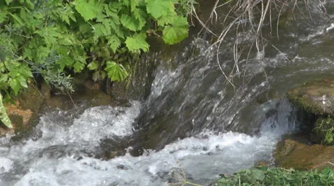Crystalline creek in the forest 스톡 동영상 25586436