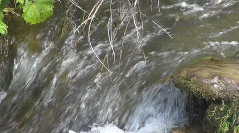 Crystalline creek in the forest 스톡 동영상 25591056