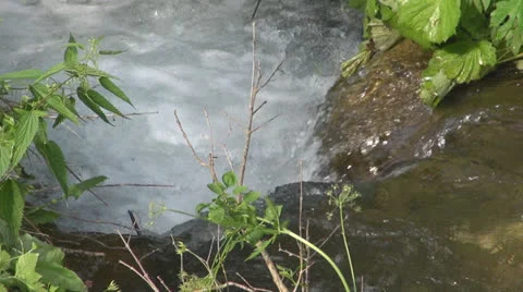 Crystalline creek in the forest 스톡 동영상 25591122